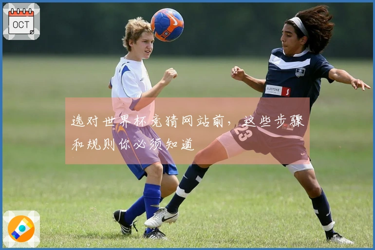 选对世界杯竞猜网站前，这些步骤和规则你必须知道